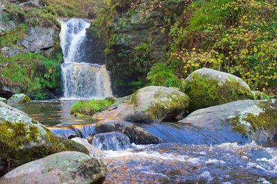 Scenic view of waterfall in forest