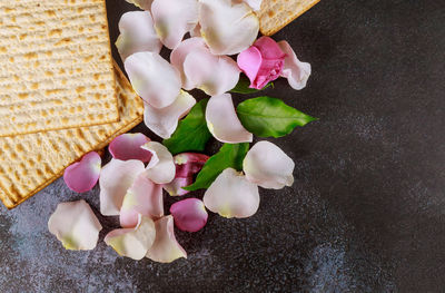 High angle view of pink roses