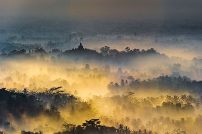 Panoramic view of trees on landscape against sky