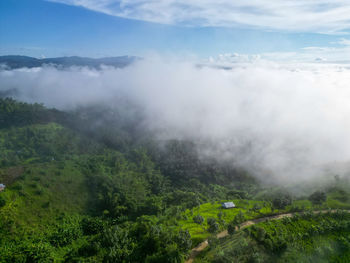 environment