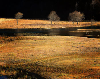 Scenic view of field by lake