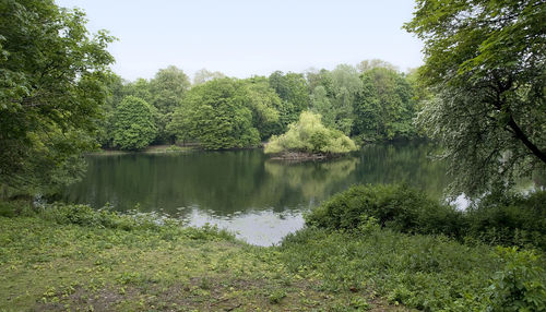 Scenic view of lake and trees against clear sky