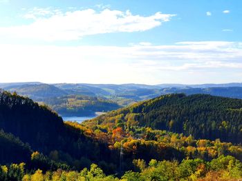 Scenic view of forest against sky during autumn