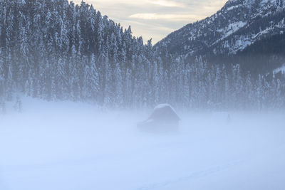 Scenic view of snow covered field