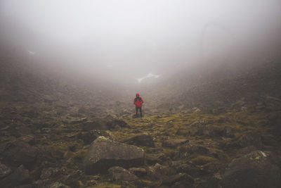 Rear view of man standing on rock