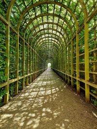 Trellis tunnel