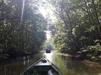Scenic view of river amidst trees in forest