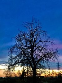 Low angle view of silhouette bare tree against blue sky