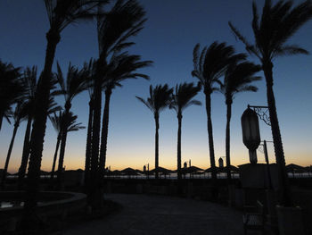 Silhouette palm trees against sky during sunset