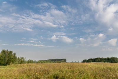 Scenic view of agricultural field against sky