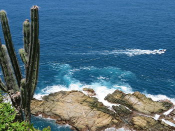 High angle view of rocks on beach