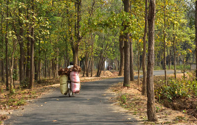 Rear view of woman walking on road amidst trees in forest