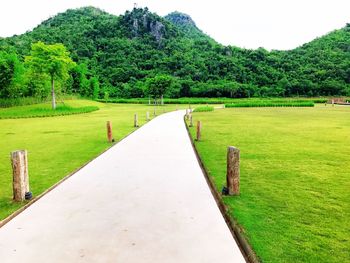 Scenic view of field against clear sky