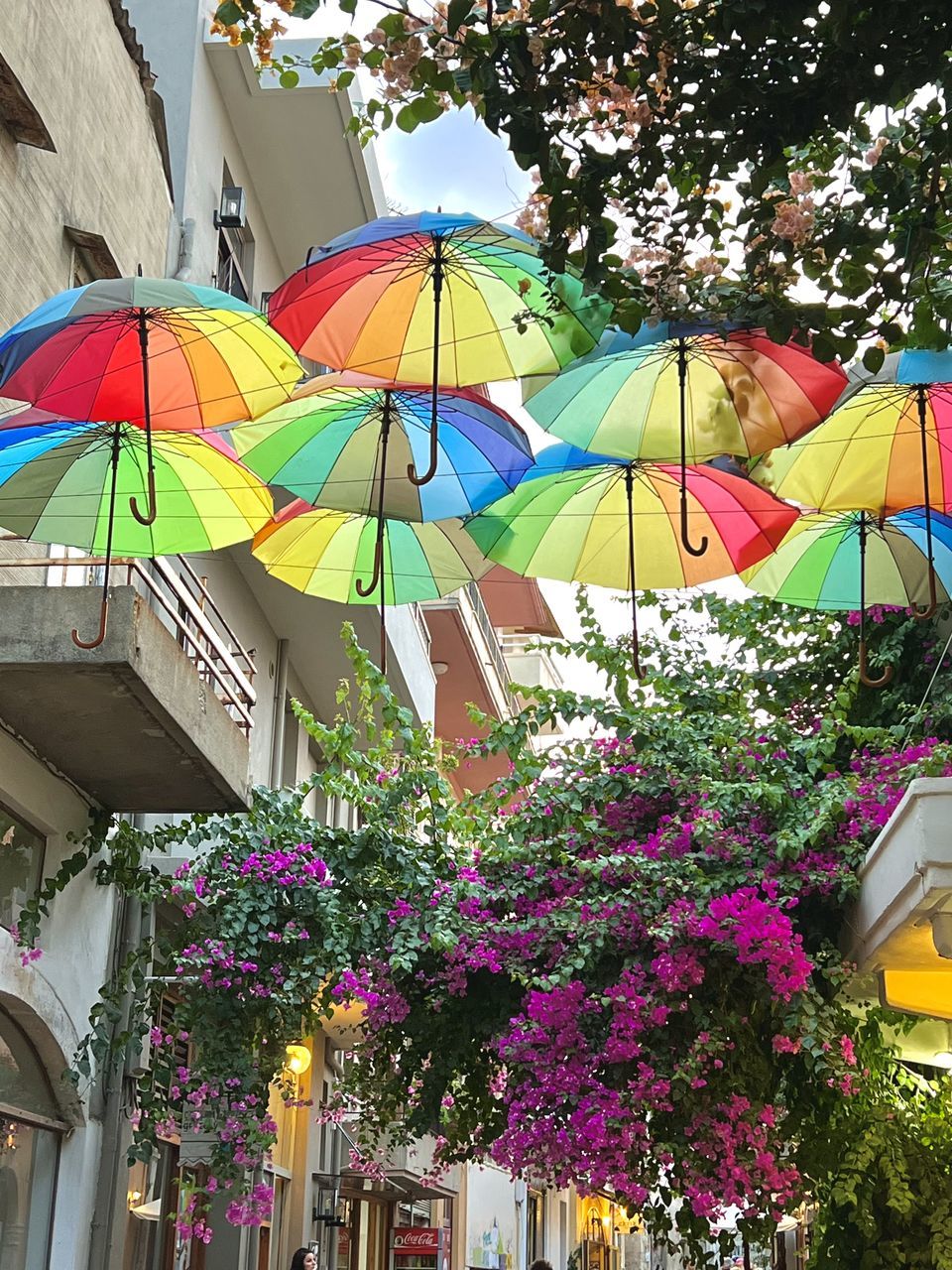 umbrella, multi colored, protection, plant, architecture, flower, building exterior, nature, built structure, low angle view, tree, parasol, day, security, no people, outdoors, city, fashion accessory, hanging, sky