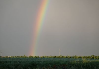 Scenic view of rainbow over field against sky