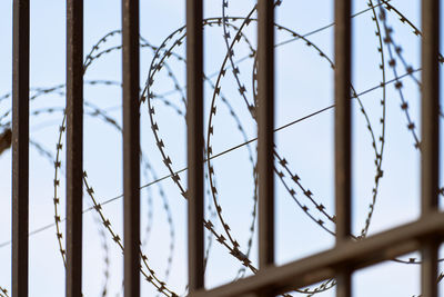 Barbed wire on prison fence. restricted access from restricted area. security guard