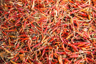 Full frame shot of red chili peppers for sale