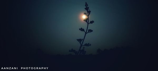 Low angle view of silhouette lights against sky at night
