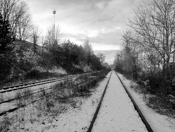 View of railway tracks along bare trees