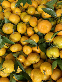 Arrangement of orange fruit in a box ready for sale