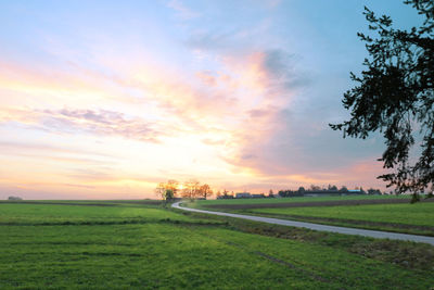 Scenic view of field against sky during sunset