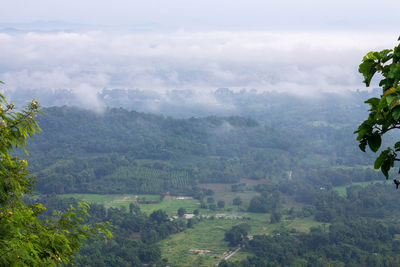 Scenic view of landscape against sky