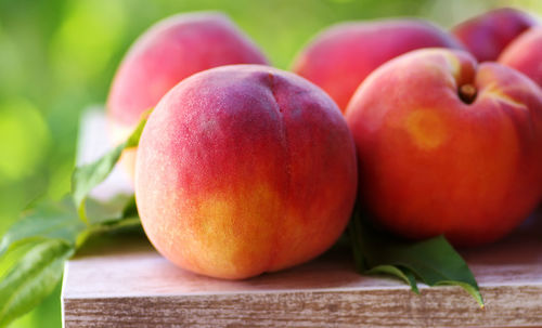 Close-up of apples on table