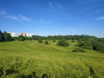 Panoramic shot of trees on field against sky