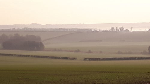 Scenic view of agricultural field against sky during sunset