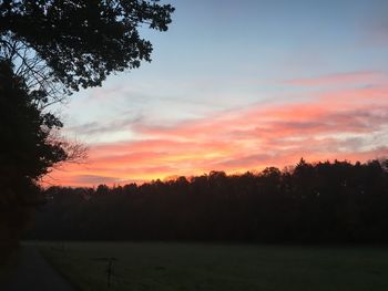 Silhouette trees on landscape against sky at sunset