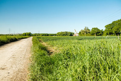 Scenic view of field against clear sky