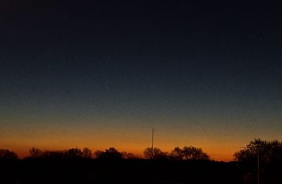 Low angle view of silhouette trees against sky at night