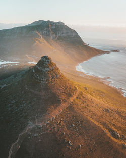 Little lions head in evening mist.