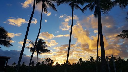 Low angle view of silhouette palm trees against sky