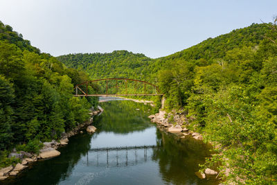 Scenic view of lake in forest against clear sky