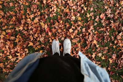 Low section of people standing on autumn leaves