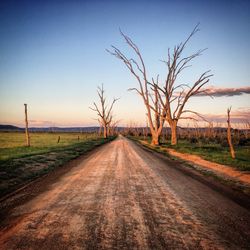 Road amidst bare trees on field against sky