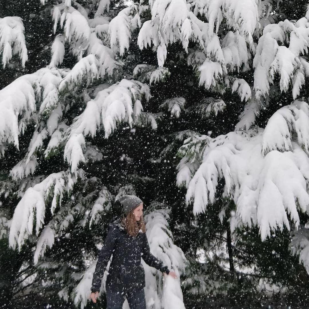 real people, snow, winter, day, nature, animal themes, outdoors, motion, cold temperature, one person, standing, bird, mammal, people