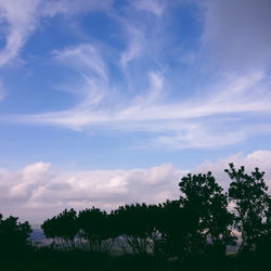 Silhouette trees in forest against sky