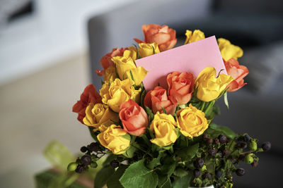 Close-up of red rose