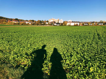 Shadow of people on field