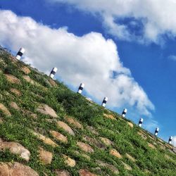 People on agricultural field against sky