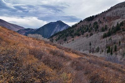 Slate canyon hiking fall leaves mountains, y trail, provo peak, slide canyon, wasatch, utah, usa