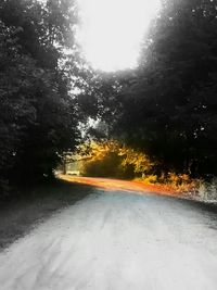 Road passing through trees