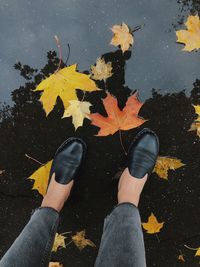Low section of person with autumn leaves