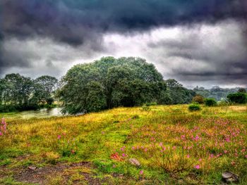 Scenic view of field against cloudy sky