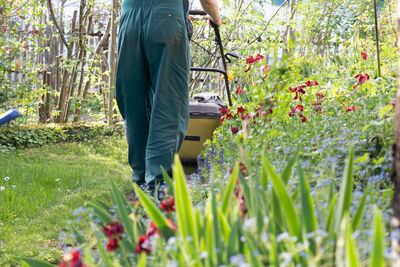 Low section of man working in farm