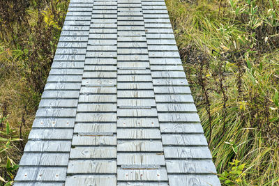 High angle view of footpath amidst field