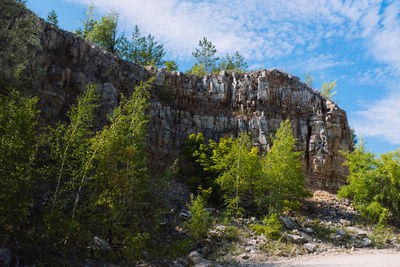 Plants growing on rocks against sky