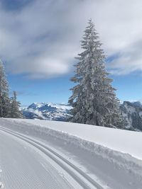 Trees on snow covered landscape against sky